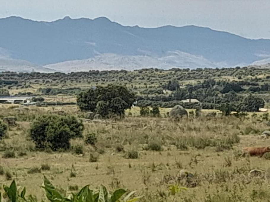 Casa De Las Lavandas, Ávila Εξωτερικό φωτογραφία